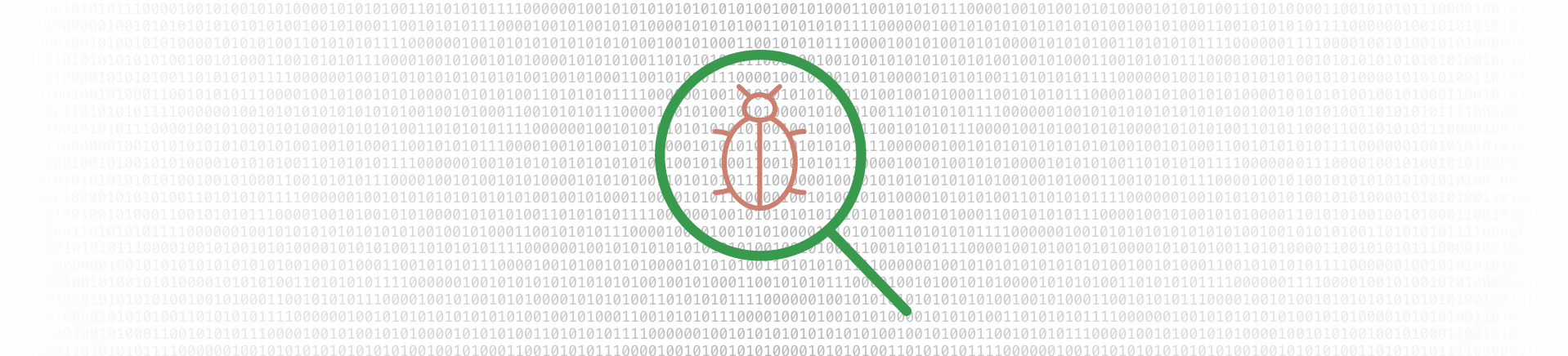 Bug Bounty